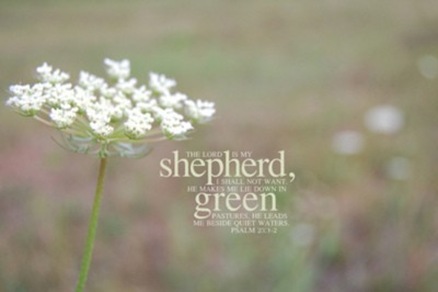 The LORD is my shepherd I shall not be in want